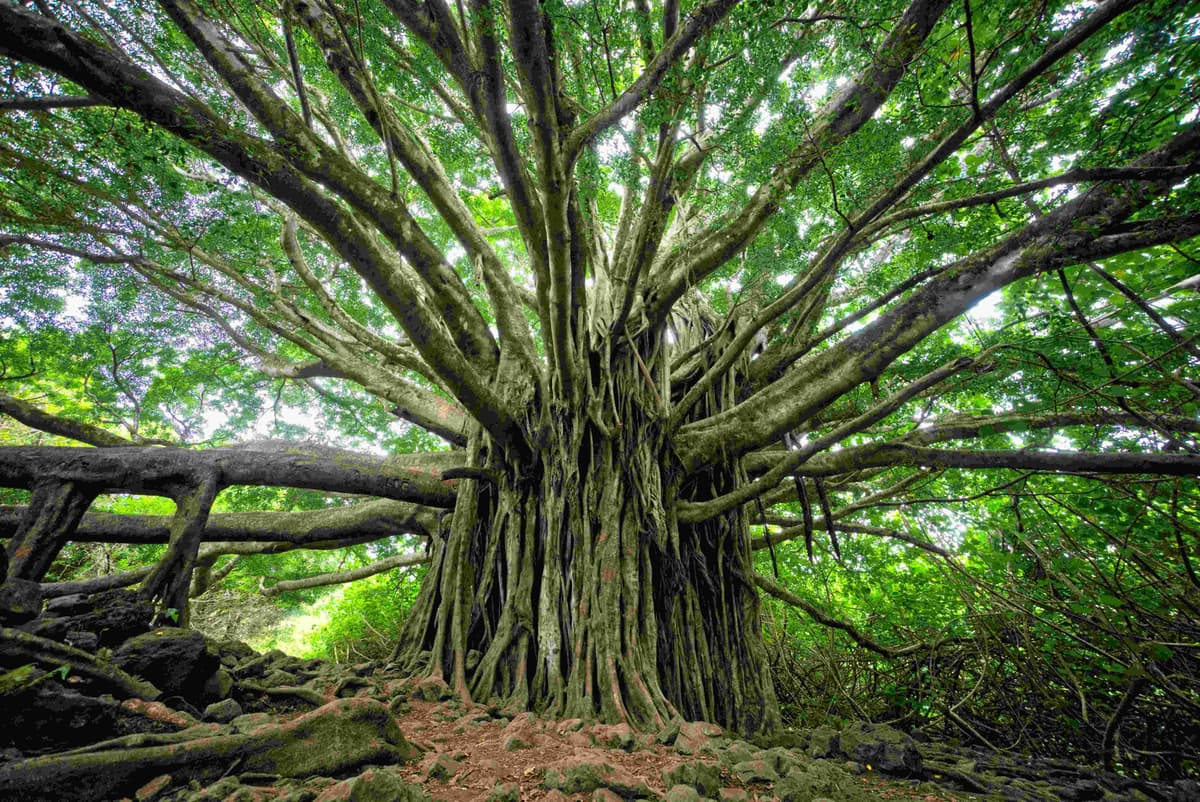 Sustainable organic farmland community near Bangalore with eco-friendly amenities