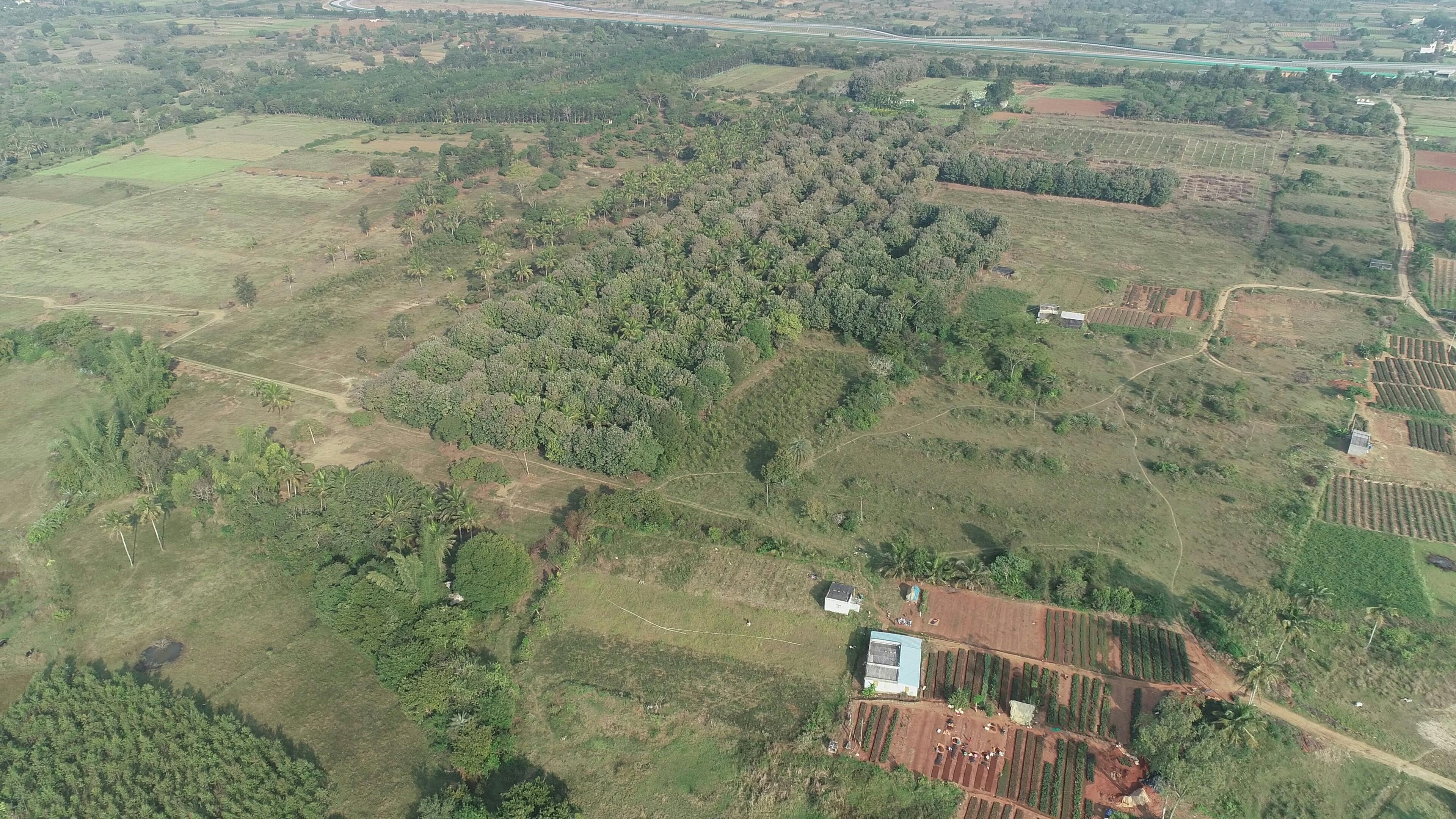 organic farmland near bangalore 3