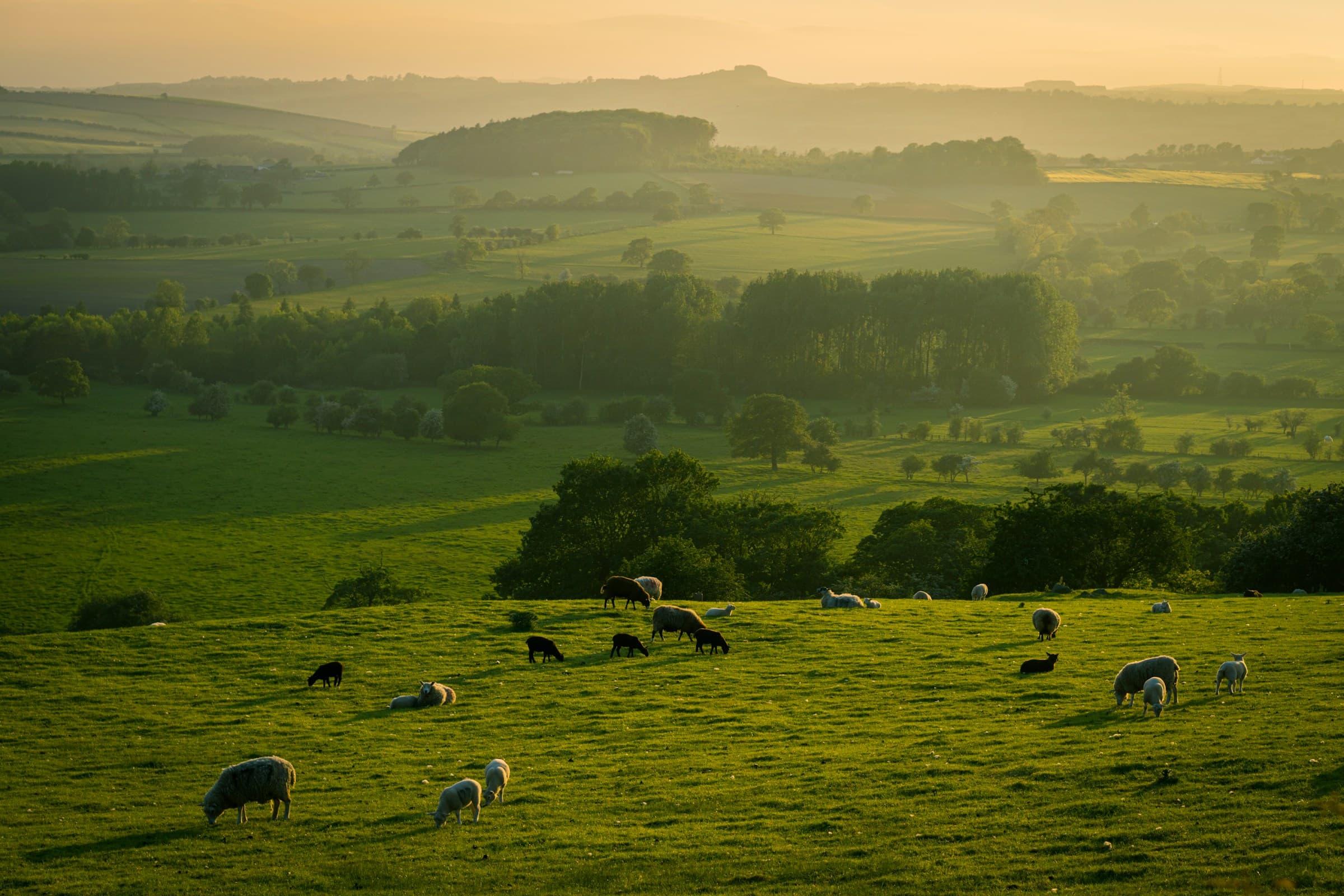 organic farmland near bangalore 5