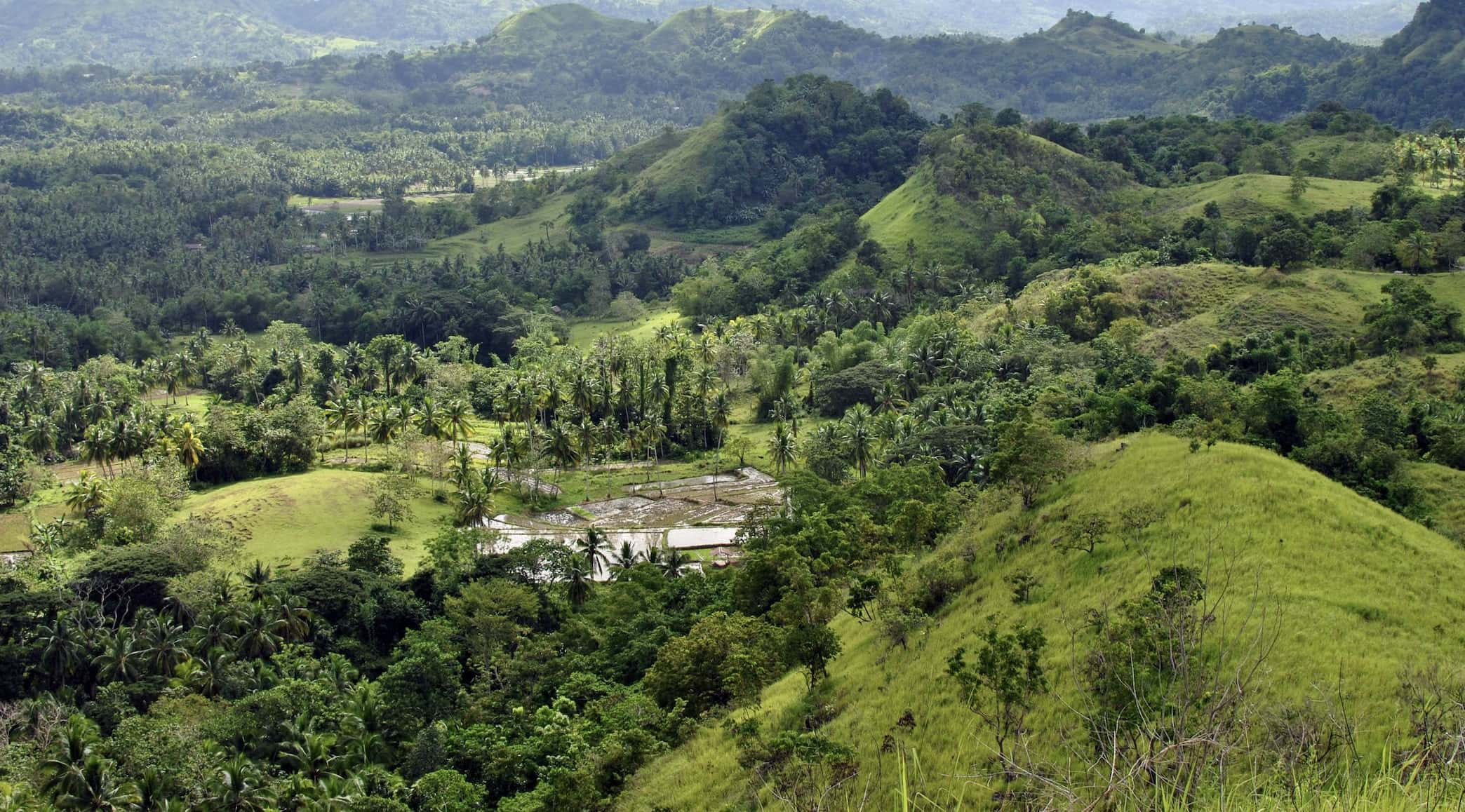 organic farmland near bangalore 1